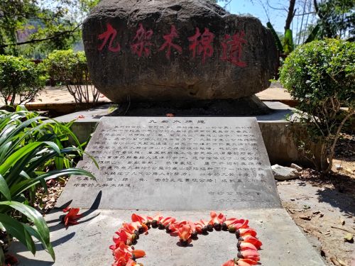 九架岭木棉观景台