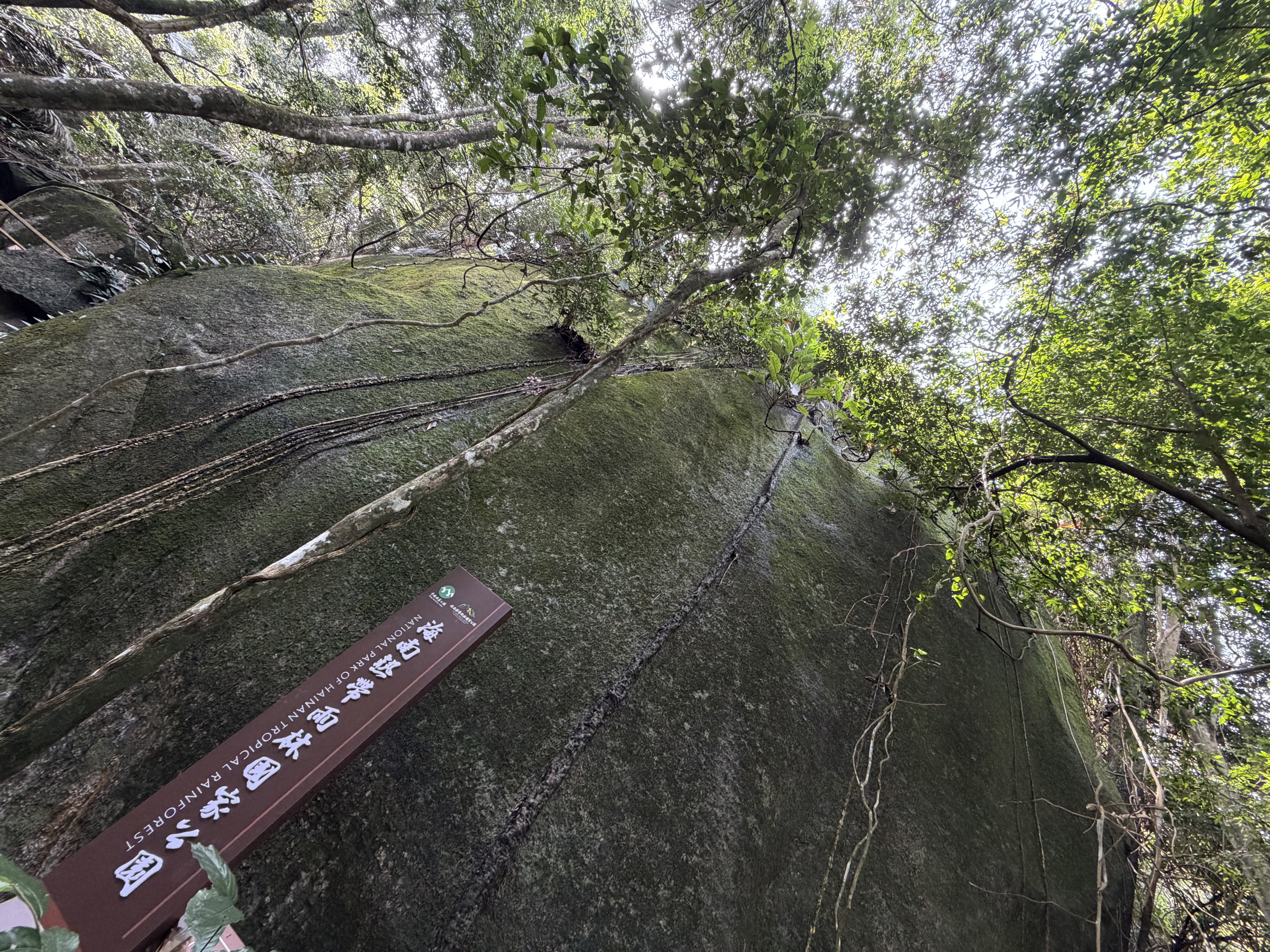 2026年澄迈县旅游必读：青尚公寓周边玩法推荐