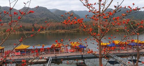 临高县旅游攻略：玉凯宾馆的宝藏玩法（2026版）