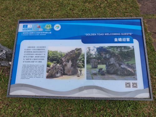 海口旅游攻略：来海口别只知道打卡——海口康健青年旅舍的宝藏玩法