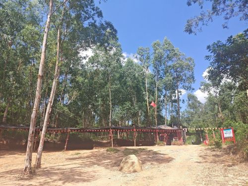 临高君逸商务酒店游玩全攻略——临高县住宿与景点推荐（2026）