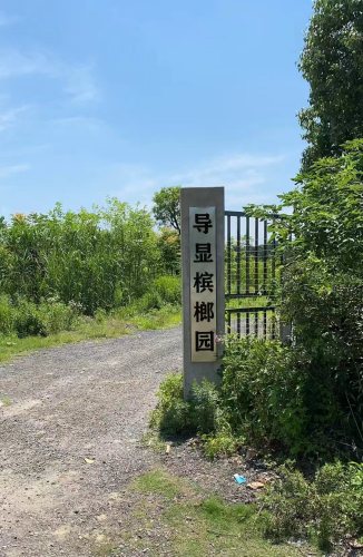 临高县宜朵酒店(临高店)周边游推荐：这些地方也值得一去