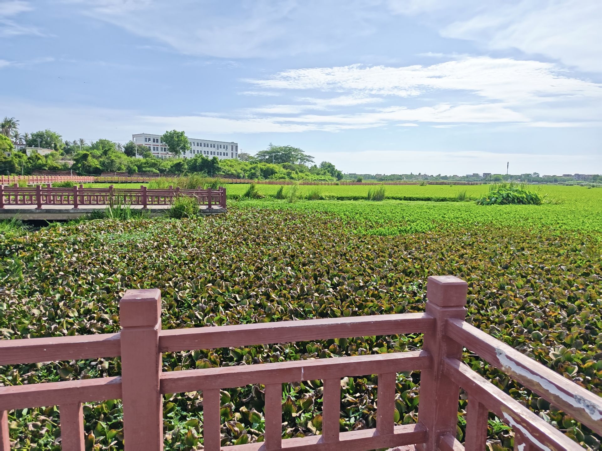 临高县之旅不可错过：雾田酒店(临高新盈车站店)深度体验指南（202606180003）