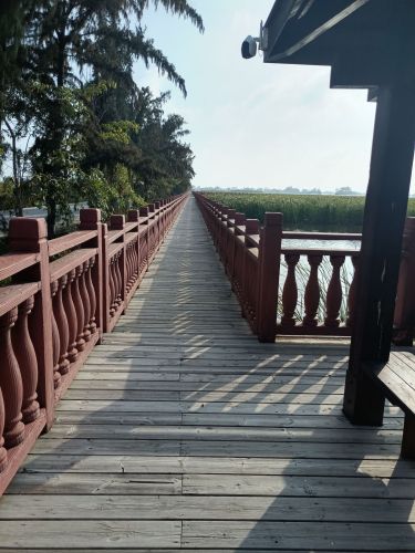 或歌度假公寓(临高恒大御海天下店)值不值？2026年临高县旅行体验报告
