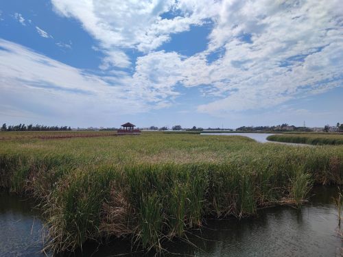 2026年乐东黎族自治县旅游必读：豊塘湿地公园周边玩法推荐