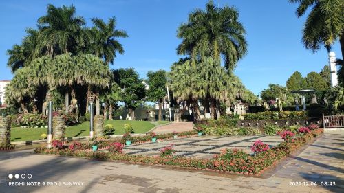 来临高县别只知道打卡——拾间·民宿的宝藏玩法