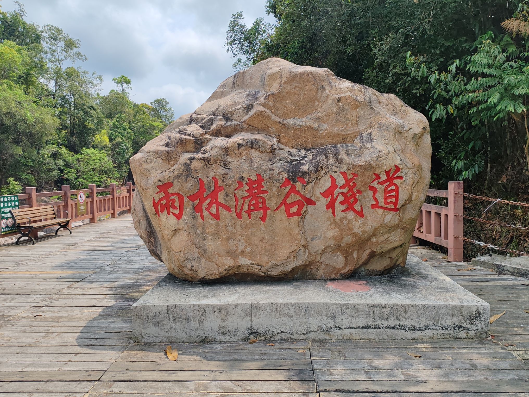 雨林谷