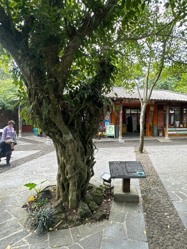 2026年海口旅游必读：椰城逗号智慧酒店(南北水果市场高铁东站店)周边玩法推荐