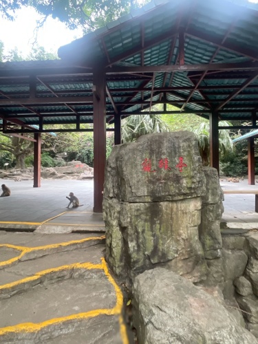 临高县之旅不可错过：美雅居出租深度体验指南（2026）