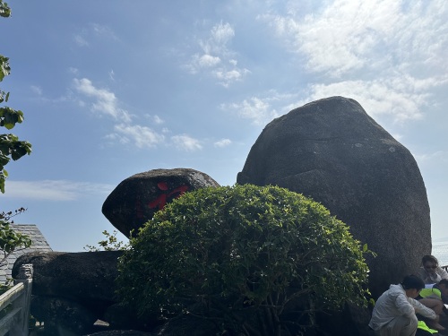 来临高县别只知道打卡——临高临宝宾馆的宝藏玩法