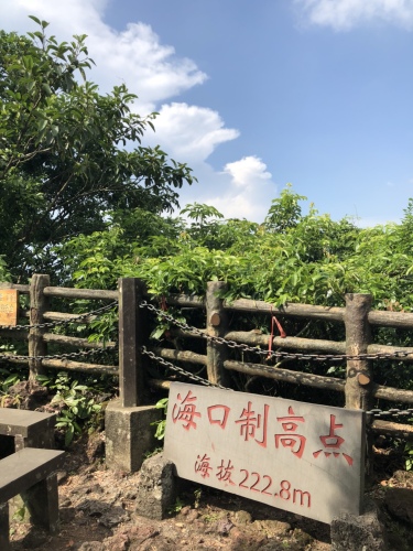 松神