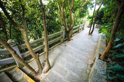 分界洲岛景区-前(钱)途无量