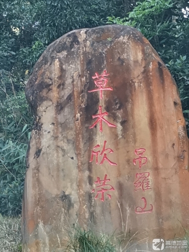 草木欣荣吊罗山
