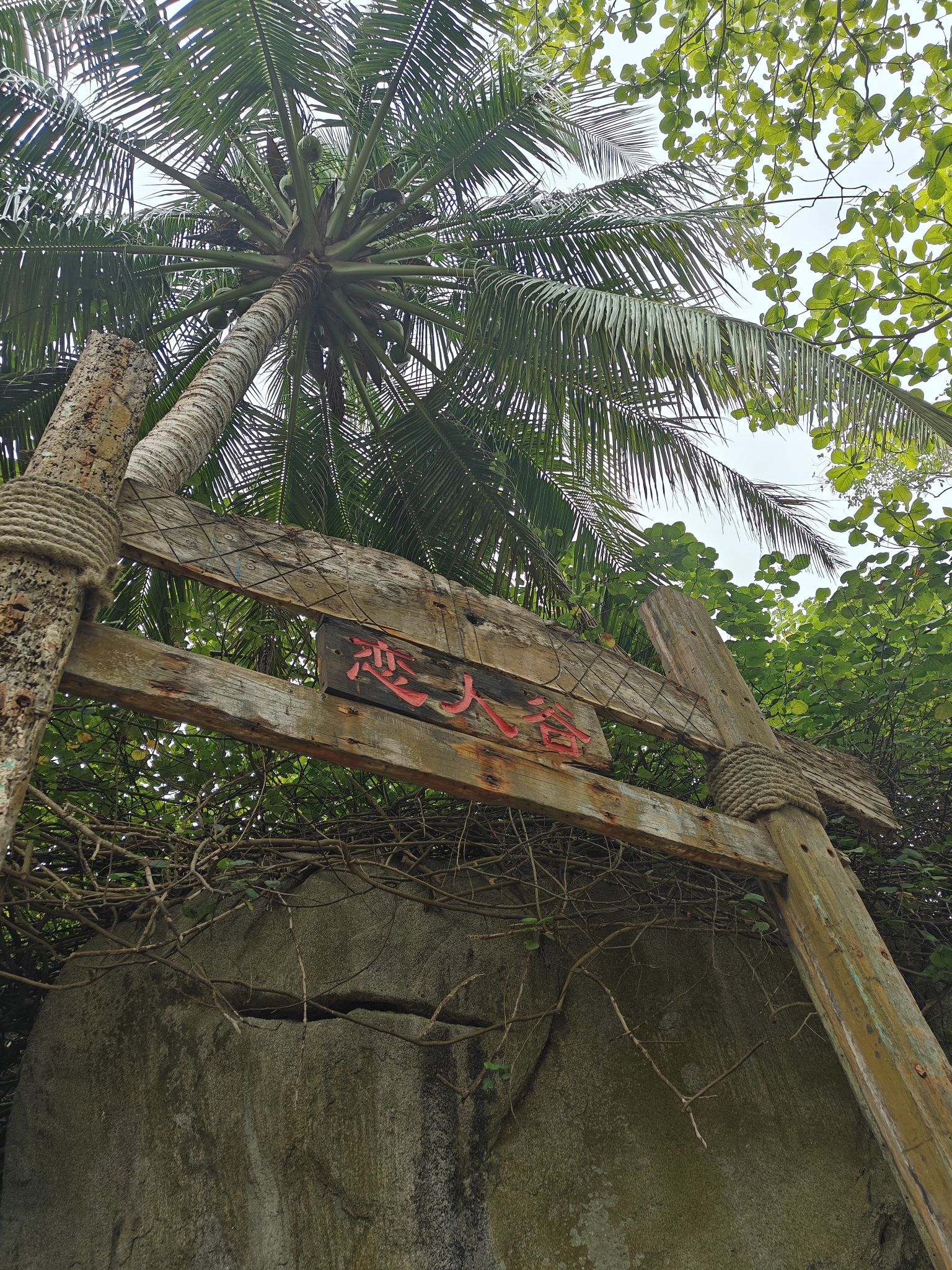 分界洲岛景区-鬼斧神工