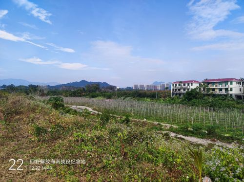 白沙黎族自治县之旅不可错过：格丽酒店(海南白沙文化广场店)深度体验指南