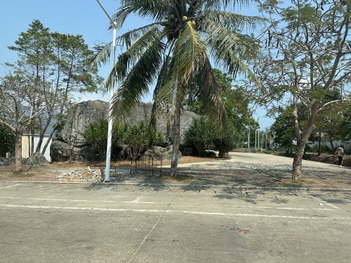 光坡圣女果广场