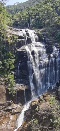 来白沙黎族自治县别只知道打卡——金源宾馆(石油路)的宝藏玩法