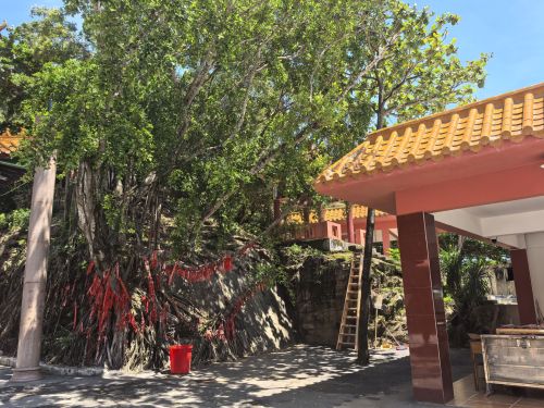 梦香旅租全方位解析：白沙黎族自治县2026年旅游深度攻略