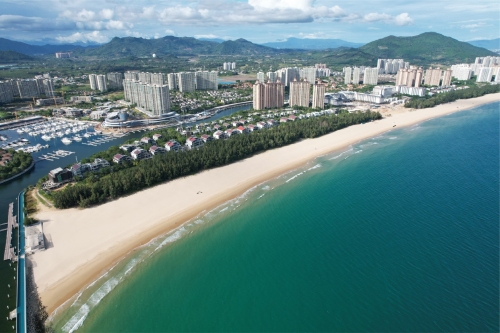 自由沙滩