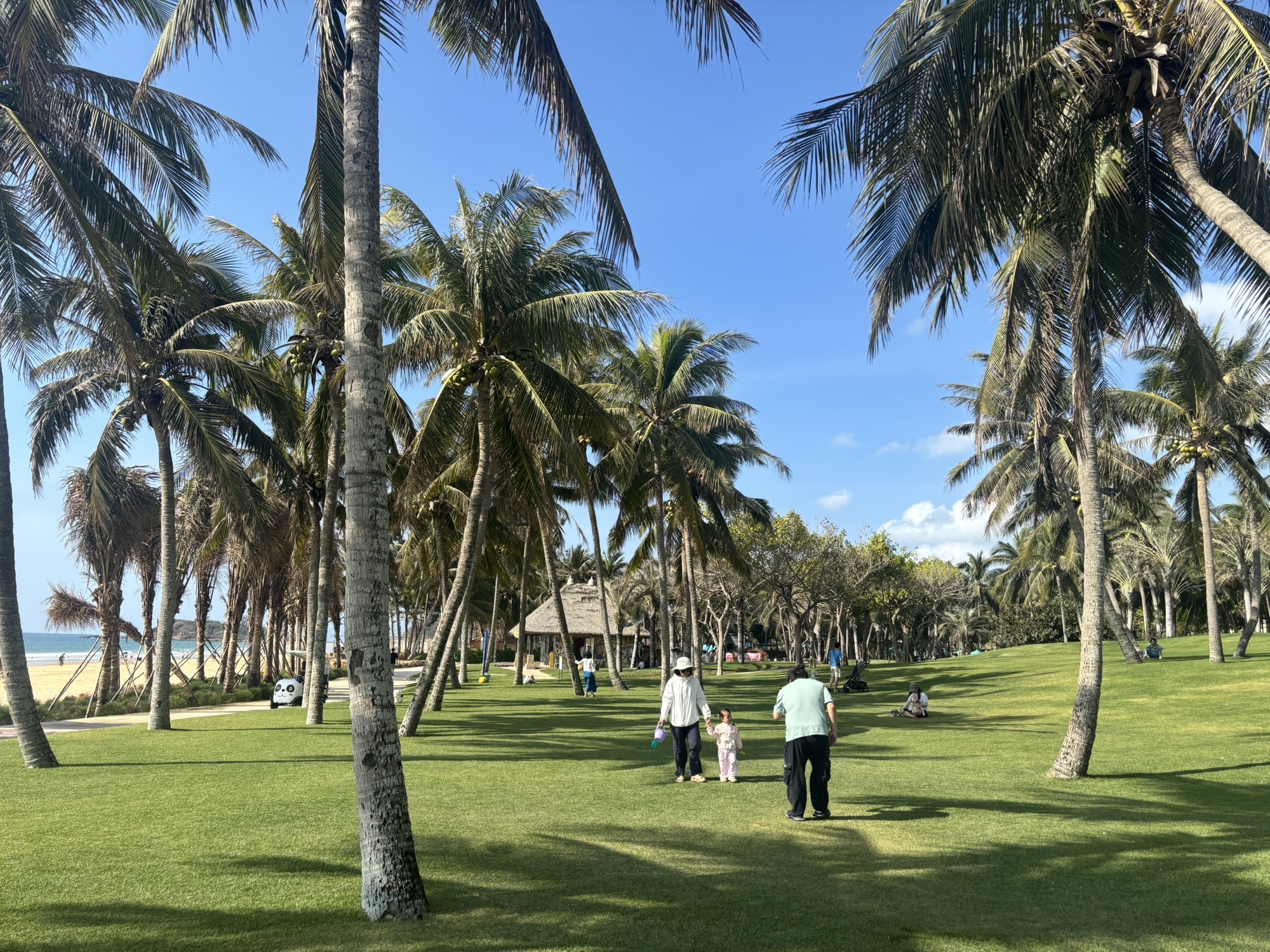 海南清水湾莱佛士酒店草坪