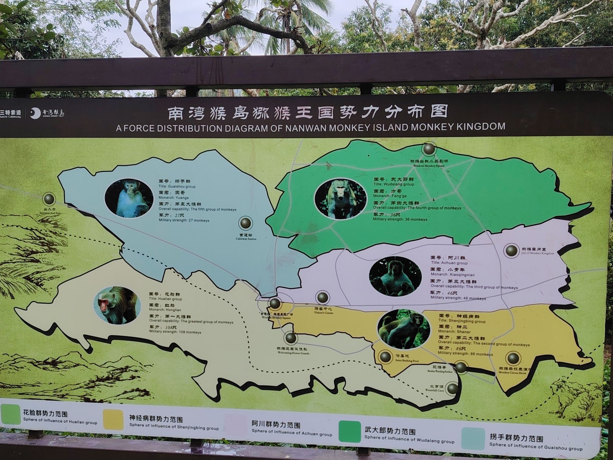白沙凤凰爱玲乐全方位解析：白沙黎族自治县旅游深度攻略