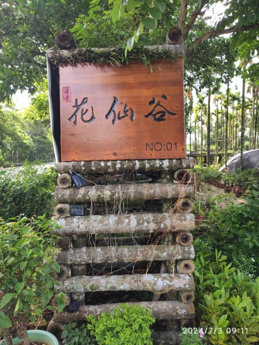 本号花仙谷