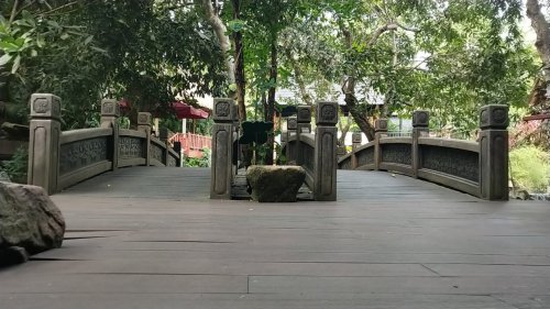 呀诺达热带雨林-双桥