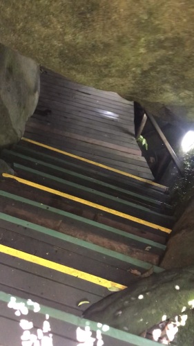 昌江黎族自治县之旅不可错过：鑫茂源宾馆深度体验指南
