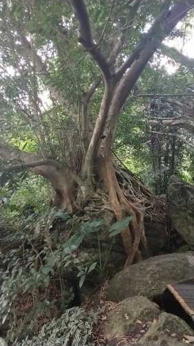昌江黎族自治县之旅不可错过：棋子湾50号驿站深度体验指南