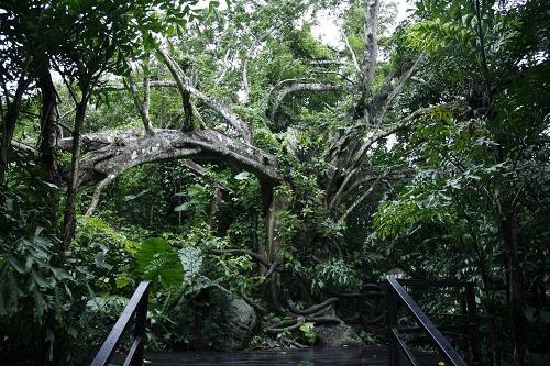 昌江黎族自治县棋子湾50号驿站攻略：昌江黎族自治县必去景点与旅行贴士