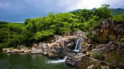 雨林谷景区-阳光平台