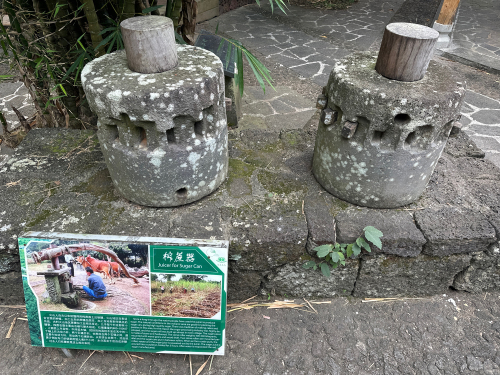 海口艾米粒精选旅租周边游推荐：这些小众景点与地道体验值得一探