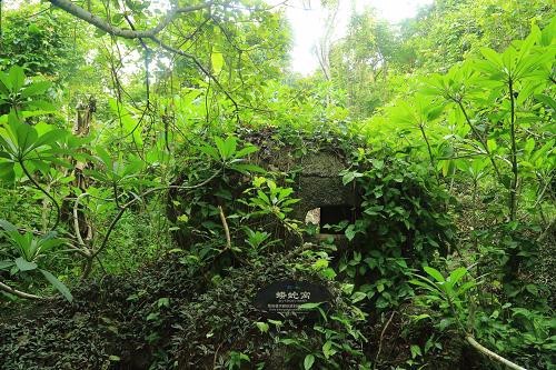 昌江黎族自治县之旅不可错过：月池樽旅店深度体验指南（202606180034）