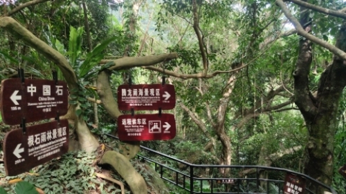 呀诺达热带雨林-小龙门