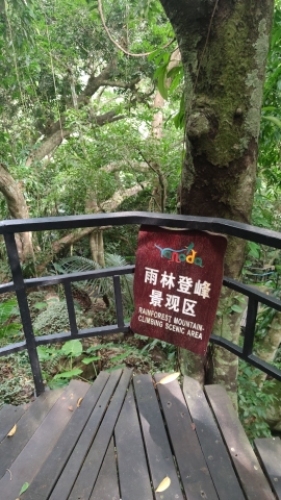 呀诺达热带雨林-小龙门