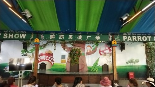 昌江黎族自治县木棉庭民宿值不值得去？2026年旅行体验报告