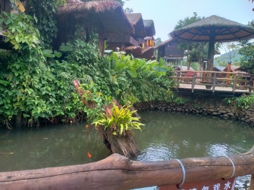 昌江黎花酿民宿全方位解析：昌江黎族自治县旅游深度攻略