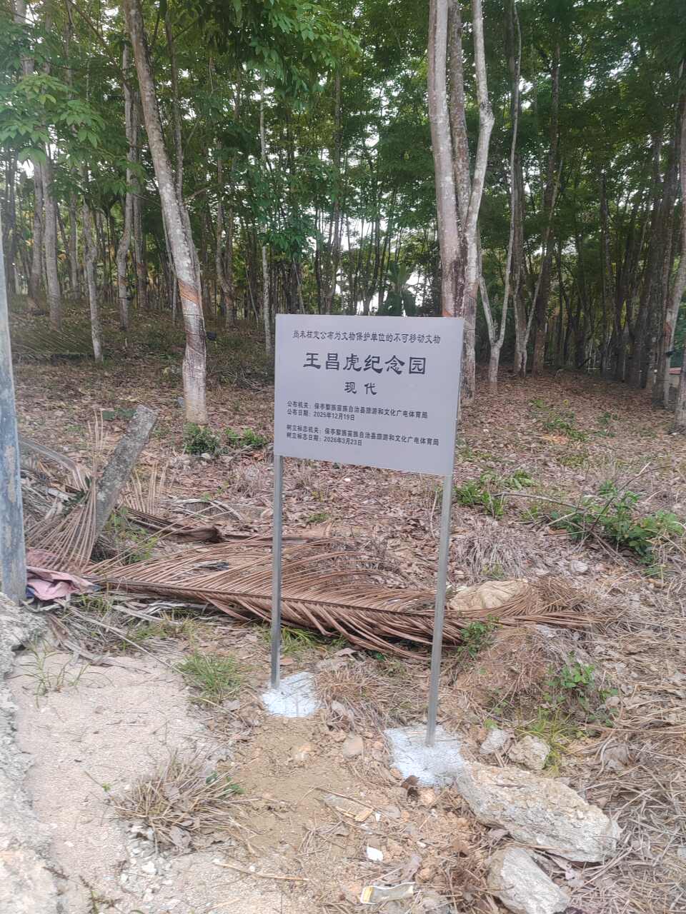 2026乐东黎族自治县之旅不可错过：乐东聚源精品酒店(九所店)深度体验指南
