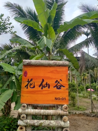 保亭花仙谷