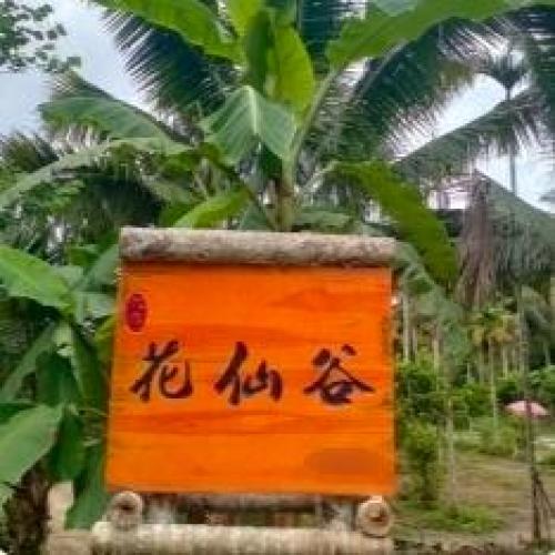 乐东黎族自治县之旅不可错过：乐东黄流梦幻商务酒店深度体验指南