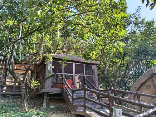 乐东黎族自治县尖峰燕子旅居周边游推荐：这些地方也值得一去（2026版）