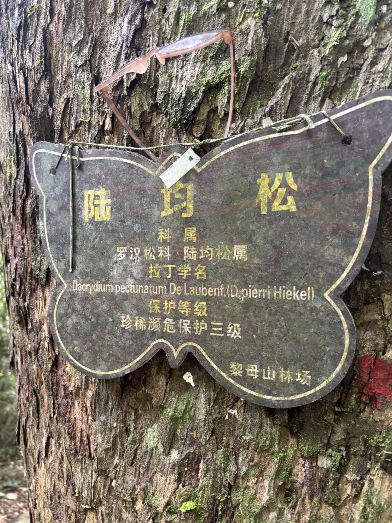 来乐东黎族自治县别只知道打卡——乐东桔子啡凡酒店(黄流车站店)的宝藏玩法