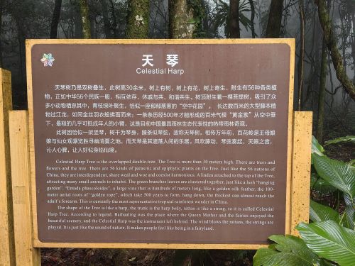 乐东2026自驾新玩法：住乐东海之邀宾馆的好评景点路线