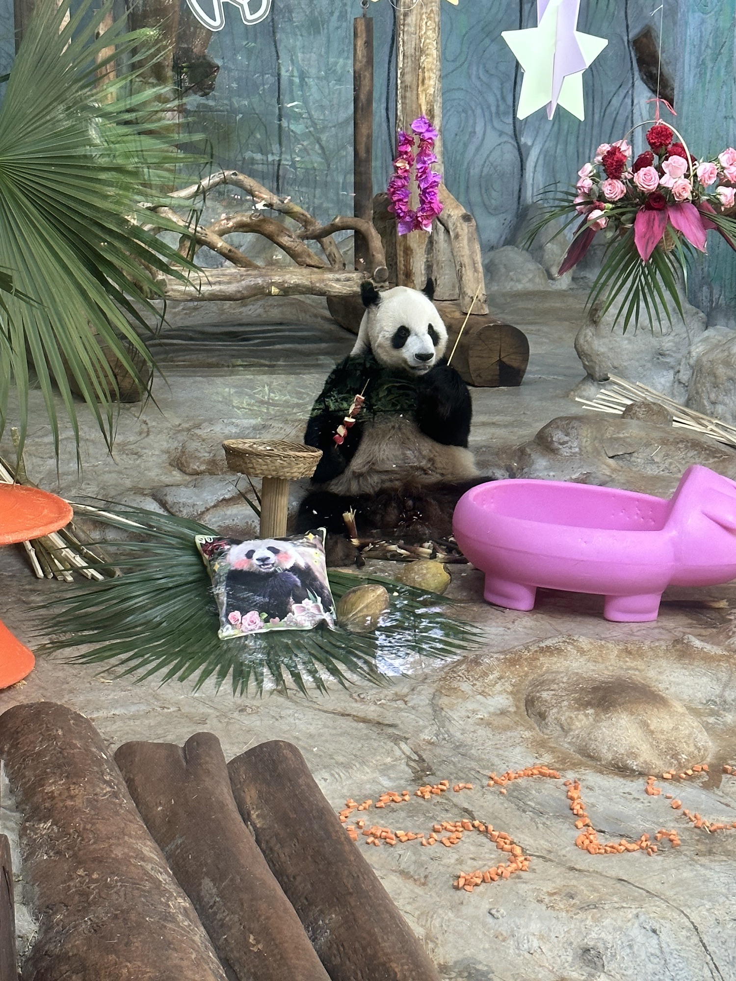 海口之旅不可错过：茶朵智能酒店(海口高铁东站店)深度体验指南（202606180303）