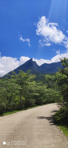海南鹦哥岭自然保护区
