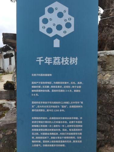 来乐东黎族自治县别只知道打卡——乐东盐场故事民宿的宝藏玩法