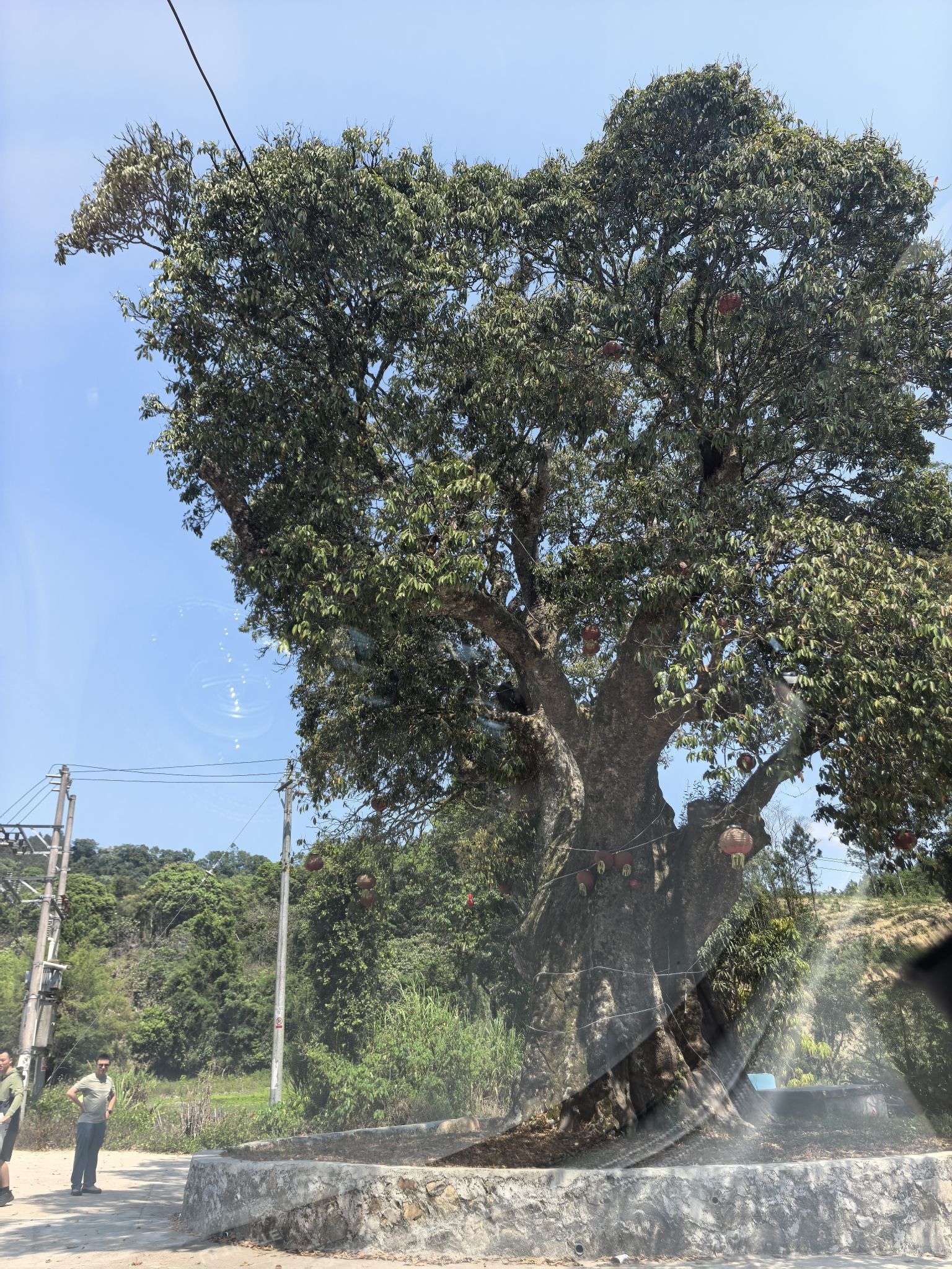 乐东黎族自治县乐东盐场故事民宿攻略：乐东黎族自治县必去景点与旅行贴士