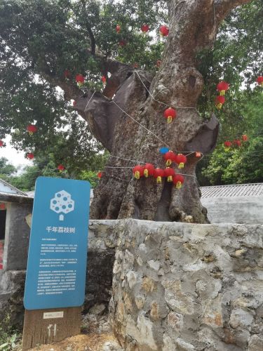 乐东黎族自治县之旅不可错过：乐东盐场故事民宿深度体验指南（202606182150）