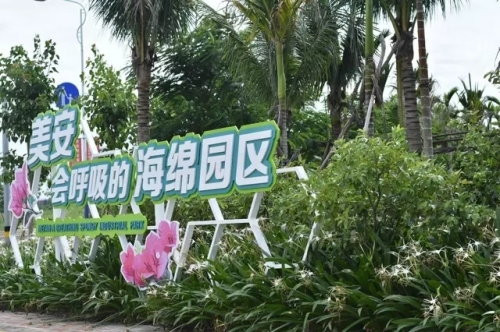 美安科技新城中心公园