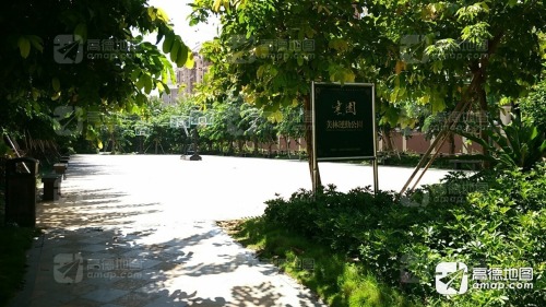 海口素园美林运动公园深度攻略：小众免费公园全解析
